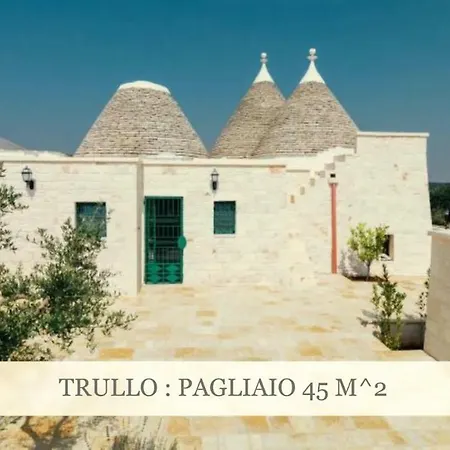 Il Carpino